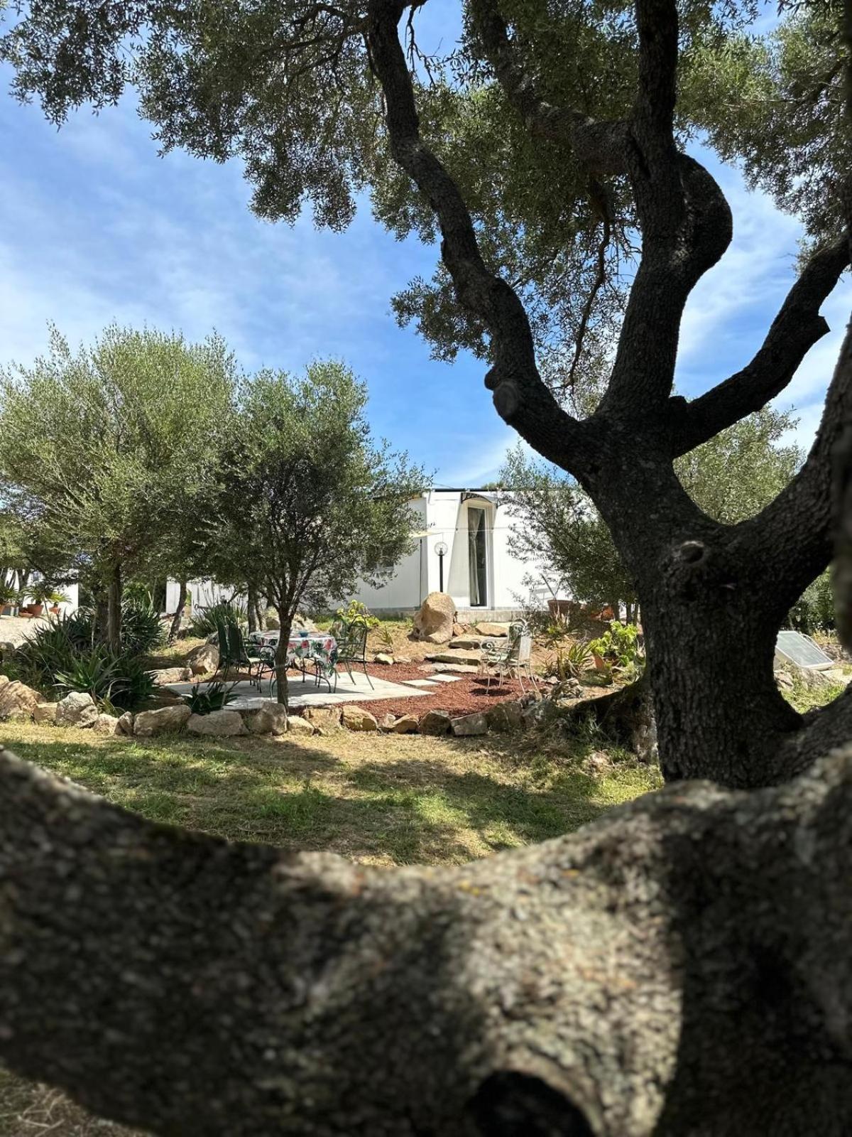 Casa Mariposa Porto Rotondo Rudalza Exterior foto